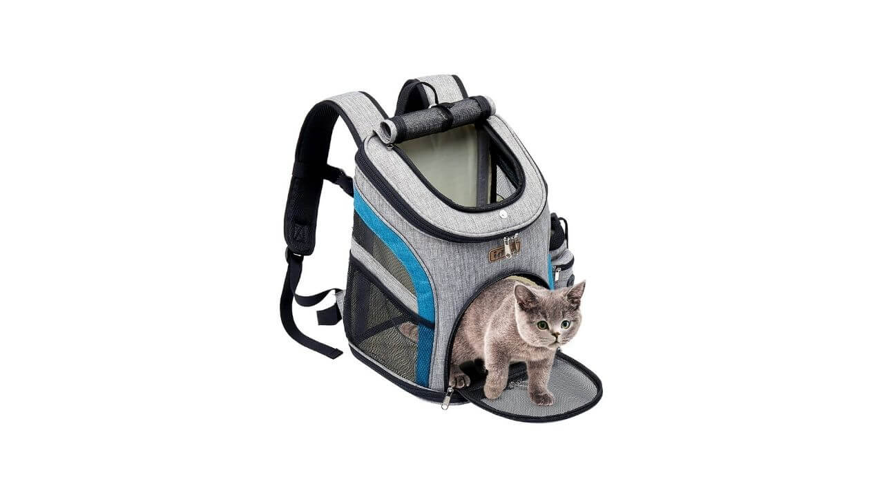 Idee Pet Backpack For Cats & Dogs