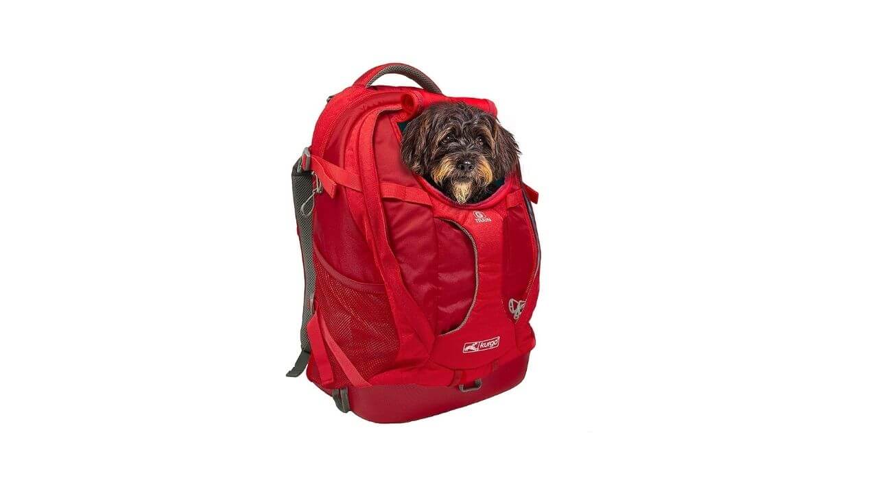 Kurgo Pet Backpack For Small & Medium Size Dogs & Cats